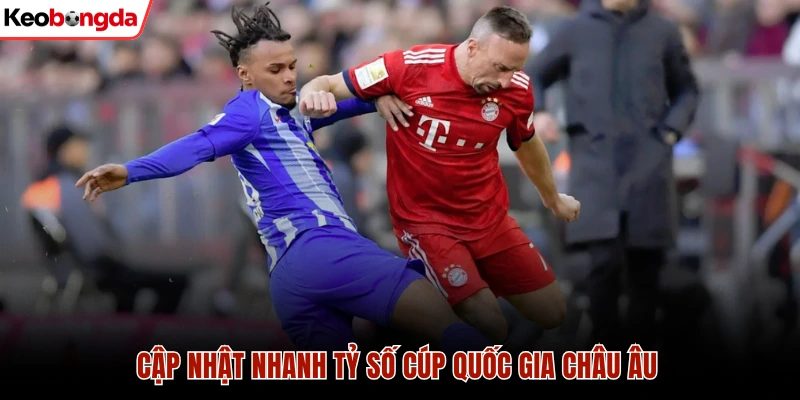 Livescore 41 Cập nhật nhanh tỷ số cúp quốc gia Châu Âu