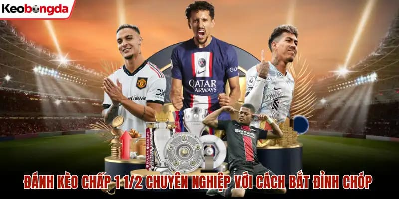 kèo chấp 1 1/2