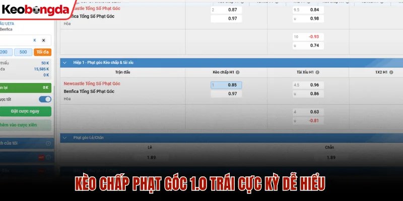 Cách Chơi Kèo Chấp Phạt Góc Để Thắng Thưởng Mỗi Ngày 2 Kèo chấp phạt góc 1.0 trái cực kỳ dễ hiểu
